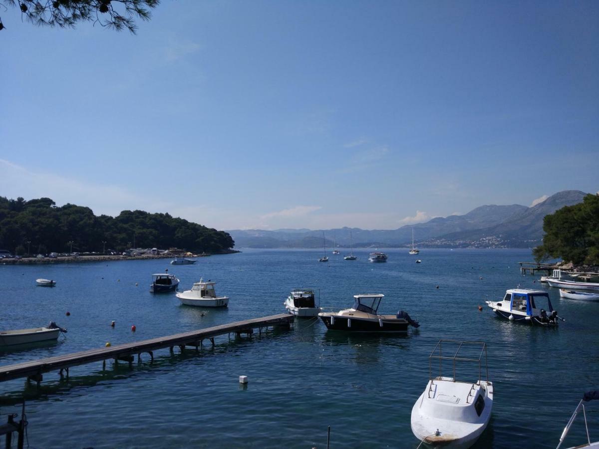 Luxury Apartments Luka & Marko Cavtat Eksteriør bilde